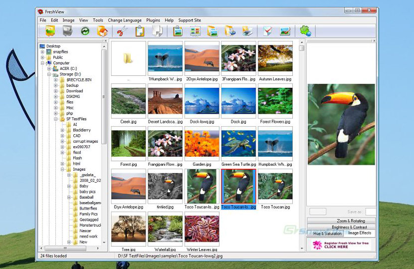 photo album organizer for mac